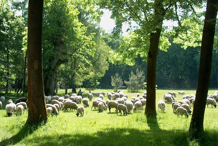 Website: Gemeinschaft haben
